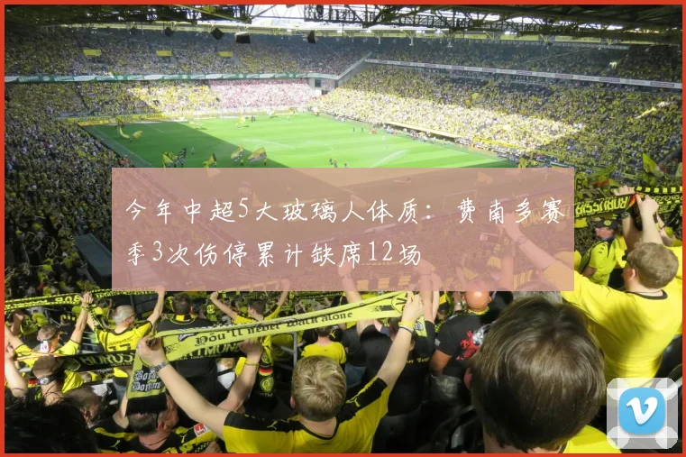 今年中超5大玻璃人体质：费南多赛季3次伤停累计缺席12场
