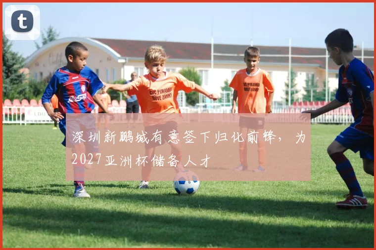深圳新鹏城有意签下归化前锋，为2027亚洲杯储备人才